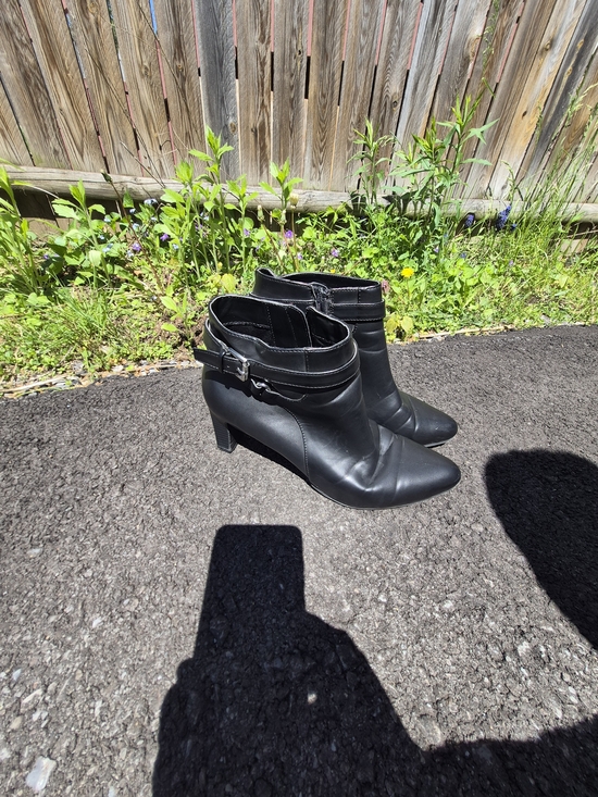 Chaps Shoes - Chaps Women's Black Pointed Toe Ankle Boots - Classic Heel